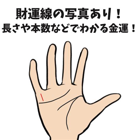 財運 手相|手相でお金との縁がまるわかり？ 財運線の見方をプロの占い師。